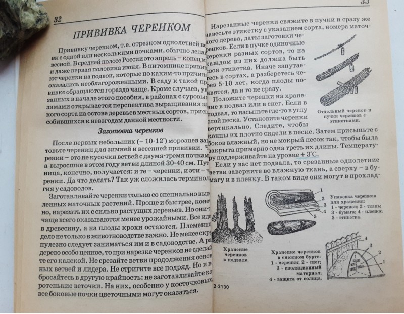 Screenshot_20241211-141953_Gallery.jpg