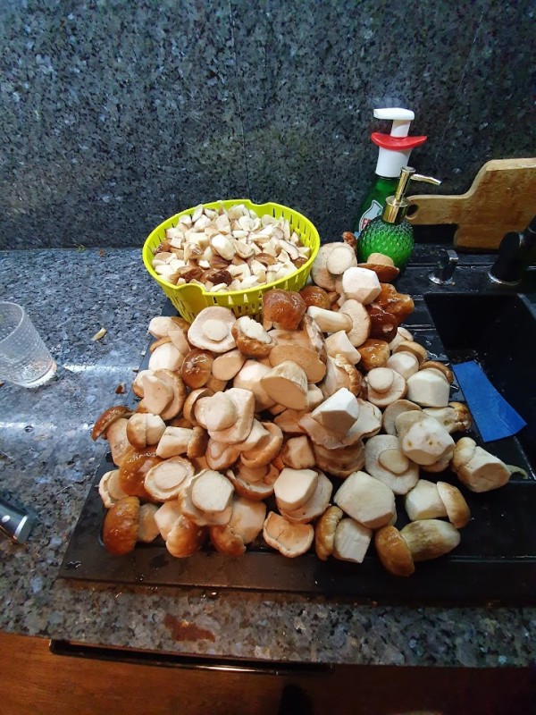 20190912_204716.jpg