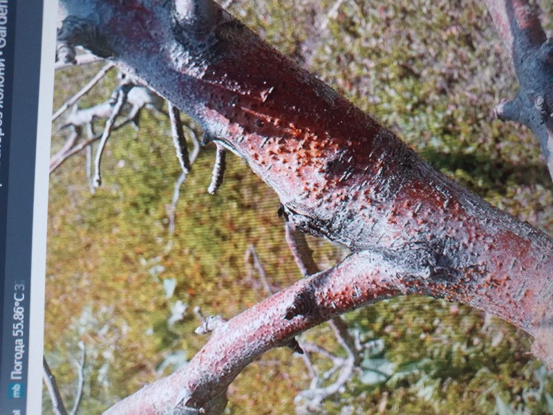 20240612_094249.jpg