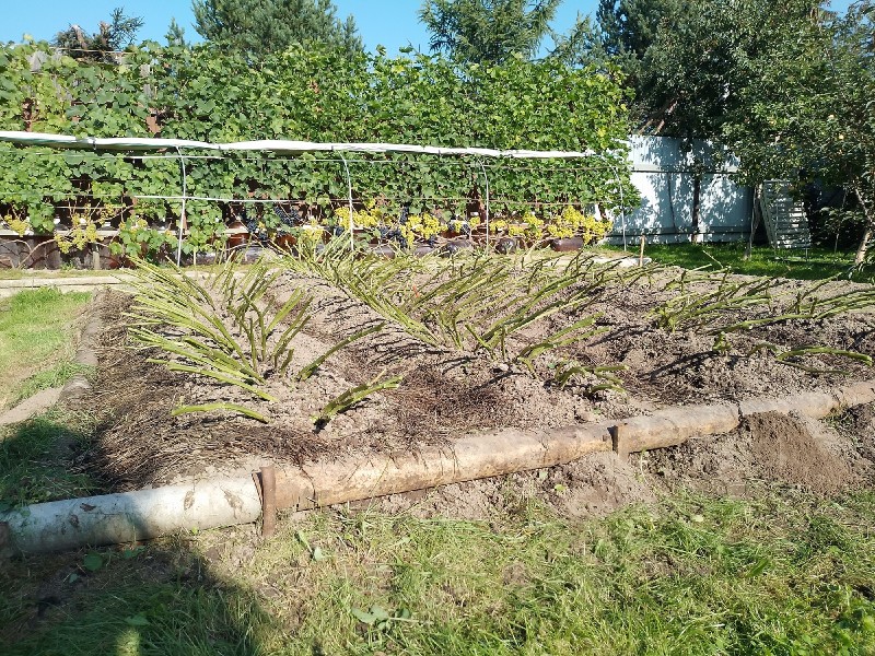 20230912_095107.jpg
