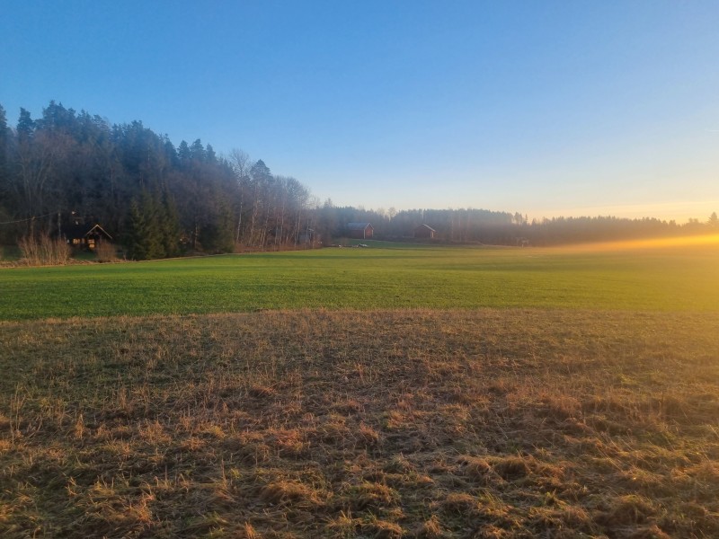 20241230_144541.jpg