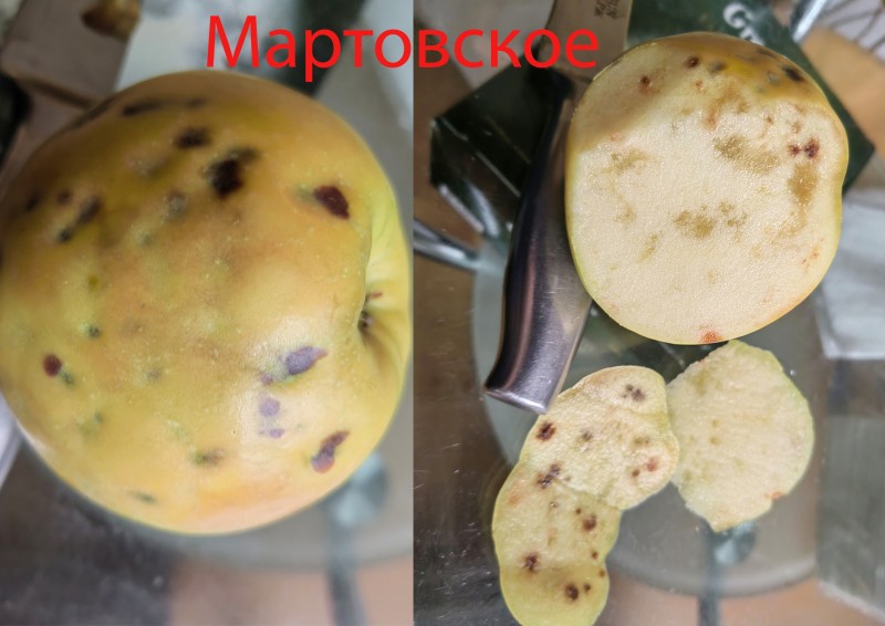 То же самое на Богатыре