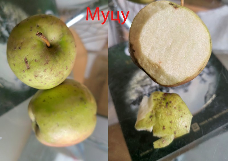 Муцу, чистишь шкурку и с удовольствием съедаешь.