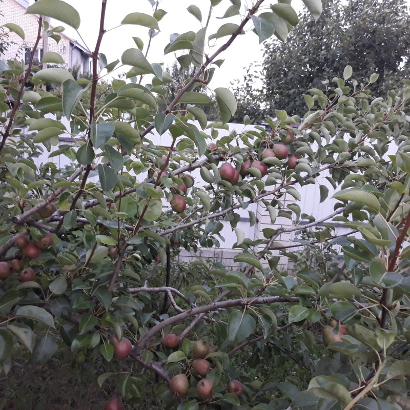 20230716_200700.jpg