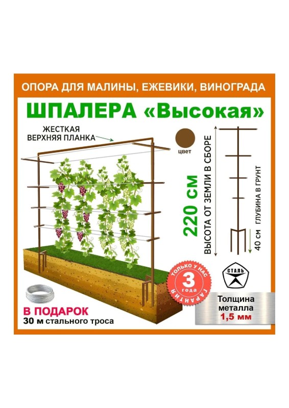 шпалера с перекладиной.jpg