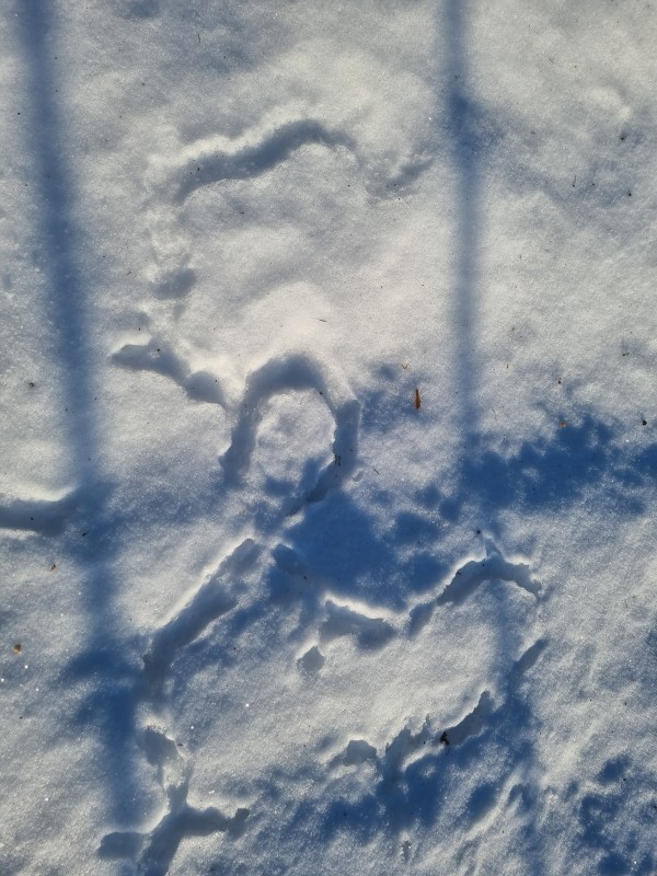20250118_120857.jpg