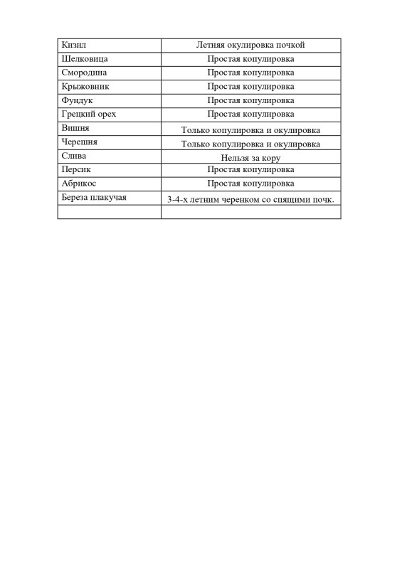 Прививка_page-0001.jpg