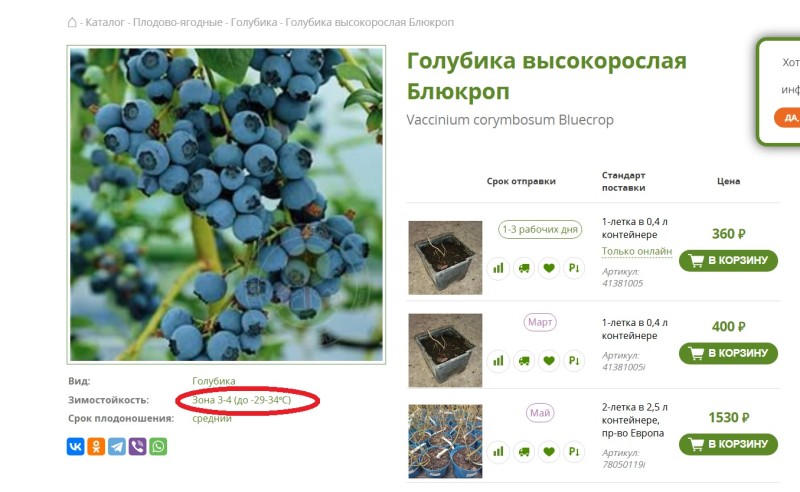 Блюкроп.jpg