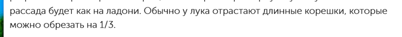корешки у рассады лука.png