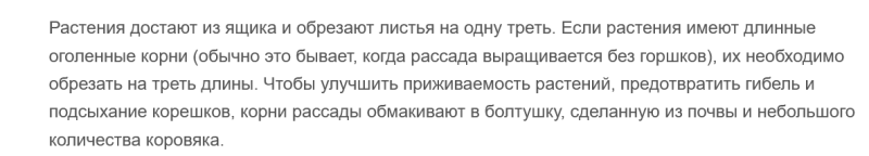 особенности обрезания корешков у рассады лука.png