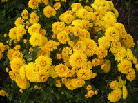 DSCN3611.jpg