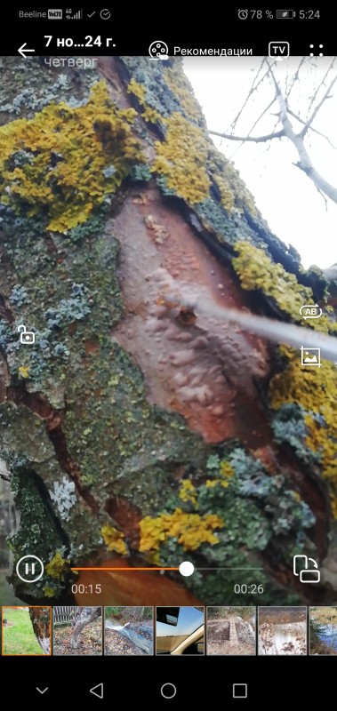 Screenshot_20250305_052450_com.huawei.himovie.overseas.jpg