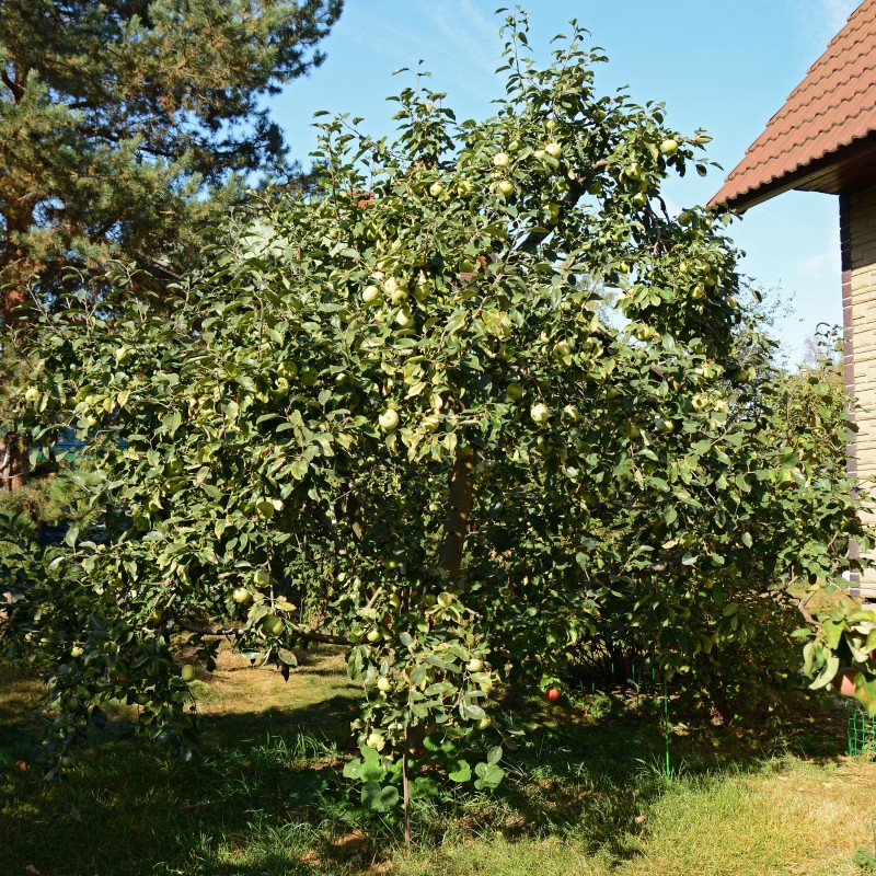 D71_2958.JPG