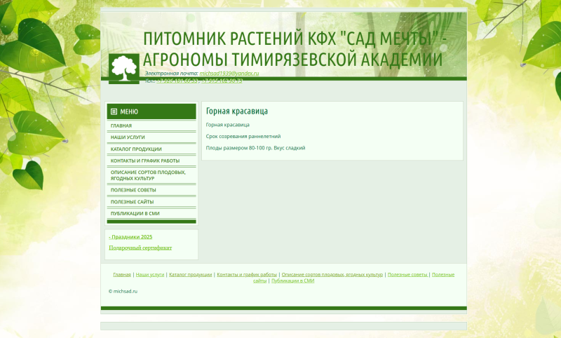 2025-03-10_10-07-36.png