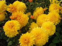 DSCN3616.jpg