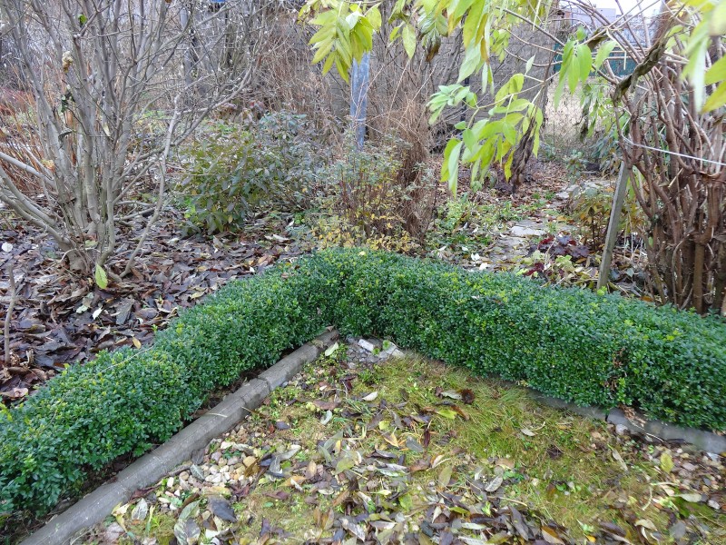 DSC04642.JPG