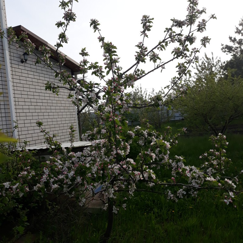 20230508_174249.jpg