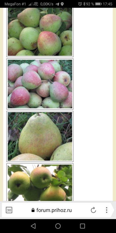 Screenshot_20250314_174503_com.yandex.browser.lite.jpg