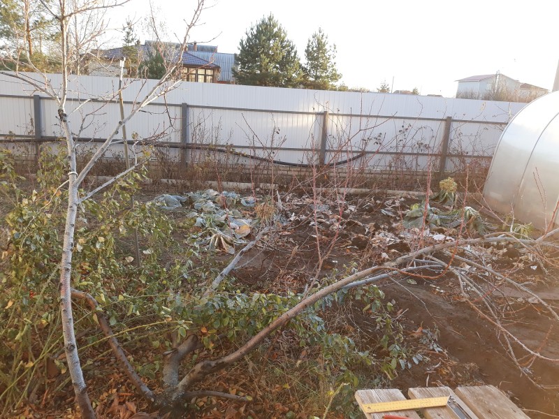 20181118_154835.jpg