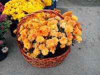 п№23 Бронза Аня2.jpg