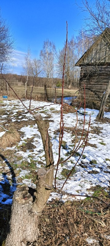 2года