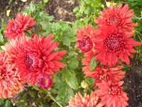 DSCN3621.jpg