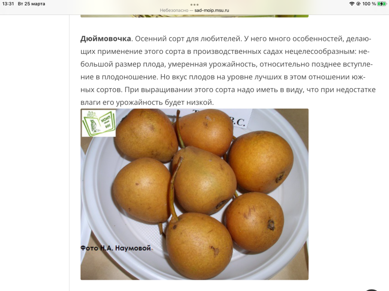 90C2A43D-AA4F-47C9-A43E-A5F5522B9CC3.png
