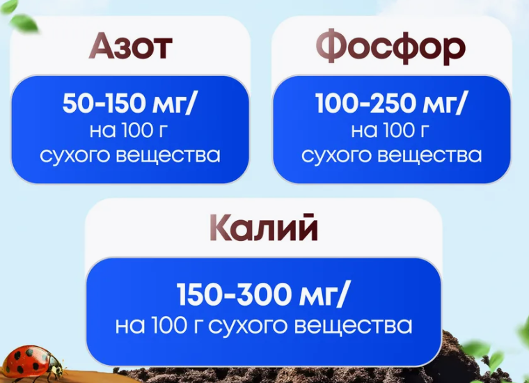 Грунт.png