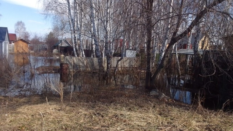 IMG-20250405-WA0002.jpg