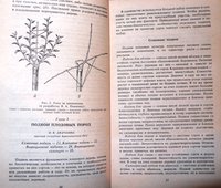 P1060053.JPG