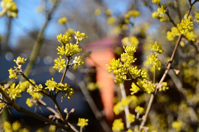 D71_3729.jpg