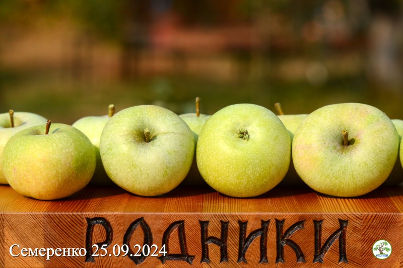 Смрн 06.jpg