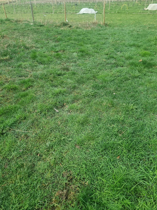 20250419_084501.jpg