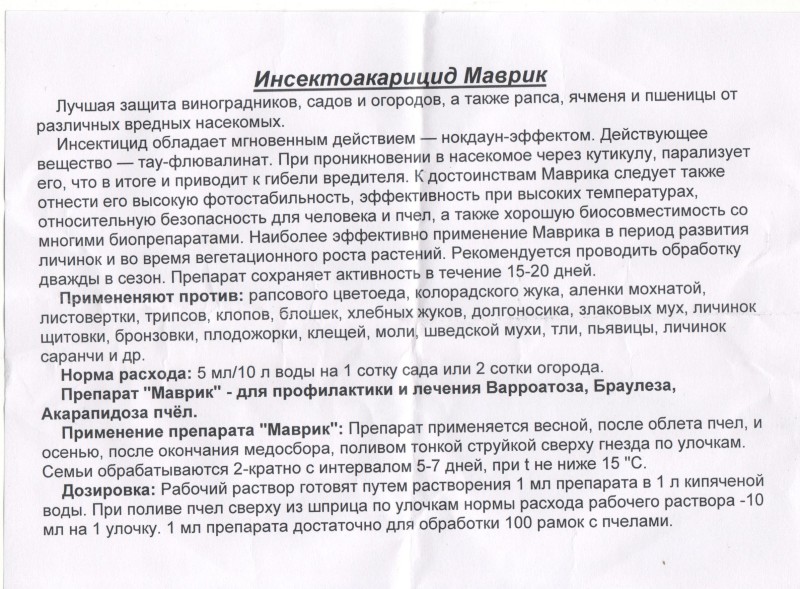 маврик.jpg