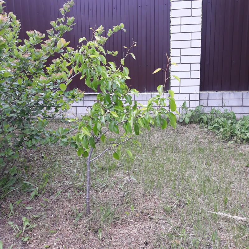 20240512_142700.jpg