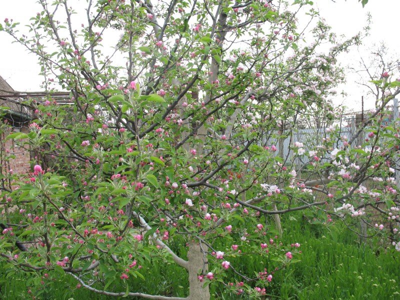 IMG_9734.JPG