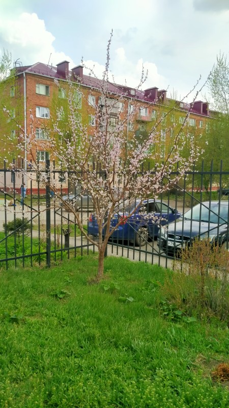 IMG20250427151606.jpg