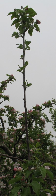 IMG_9793.JPG