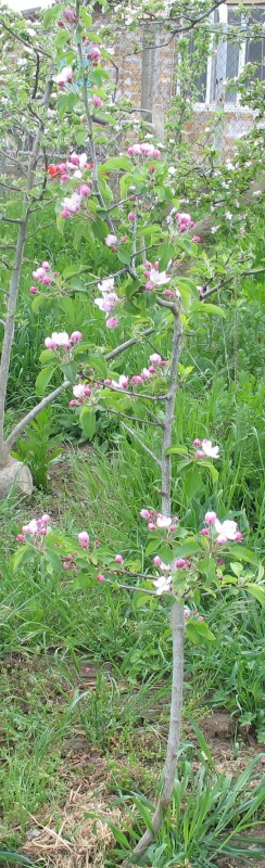 IMG_9721.JPG