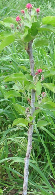 IMG_9725.JPG