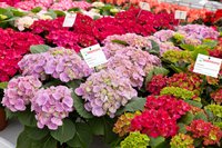 ld120329-012-web-640-426.jpg