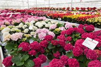 ld140327-003-web-640-426.jpg