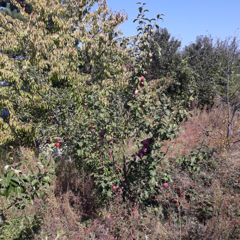 20230917_114257.jpg