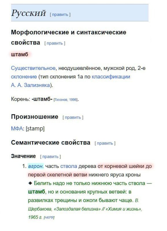 штамб.jpg