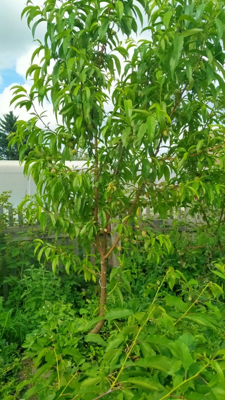 IMG20250615170713.jpg