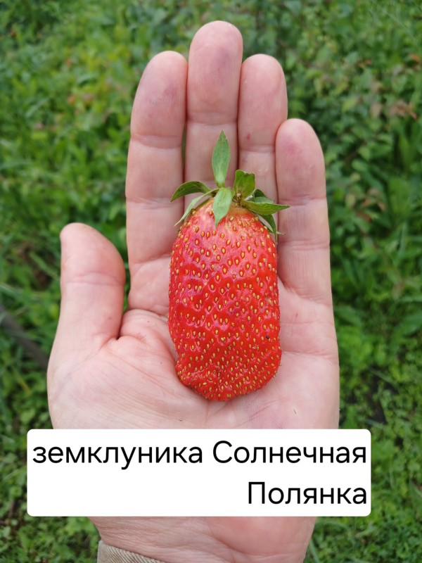 20250619_190128.jpg