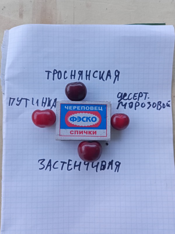 IMG20250622194406.jpg