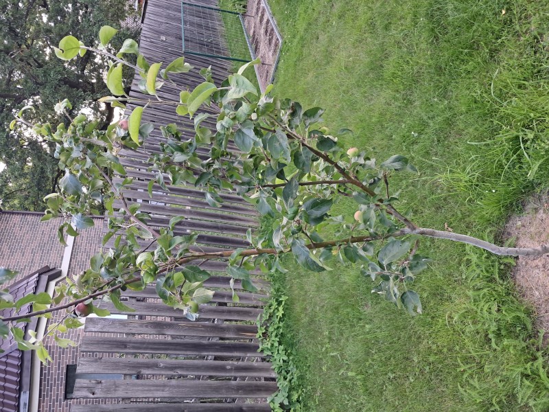 20250627_193159.jpg
