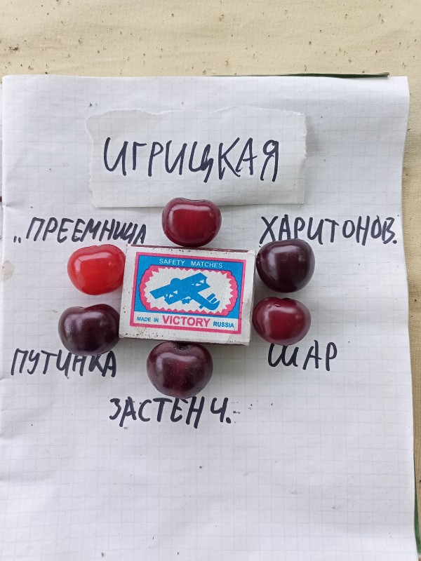IMG20250706191910.jpg