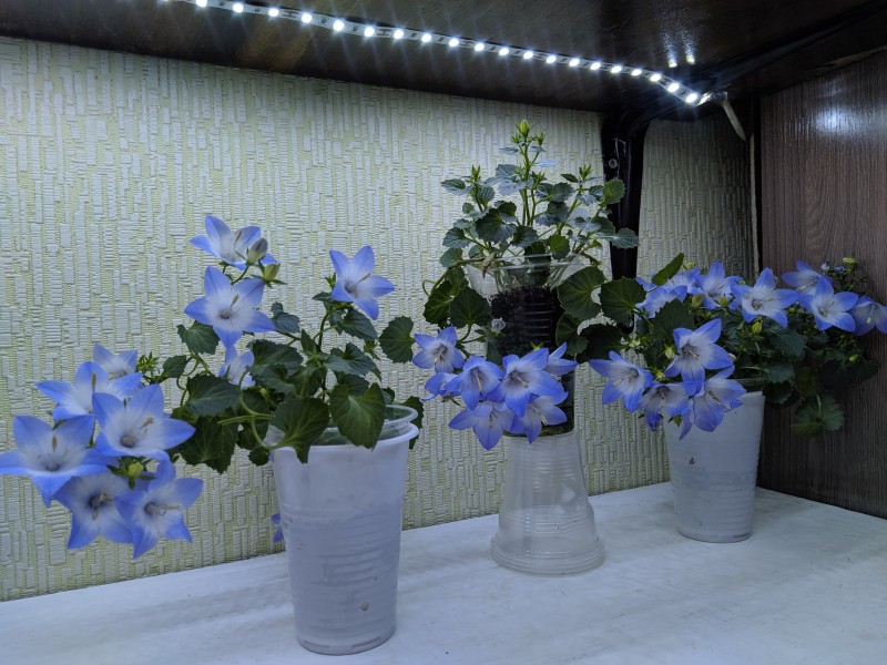 2019-07-25 11-58-11.JPG